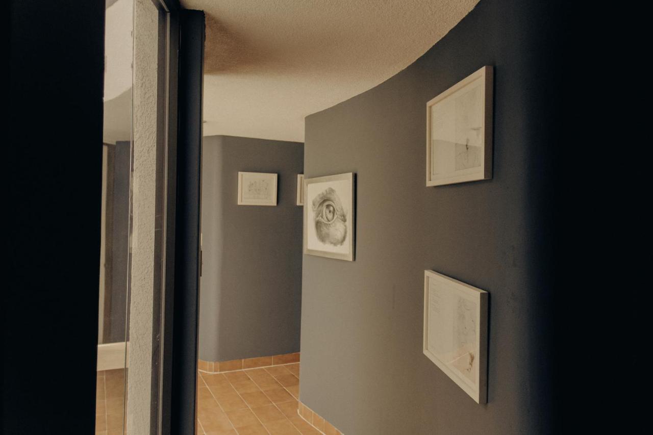 Casa Lulu Coyoacan Alvaro Obregon Ngoại thất bức ảnh