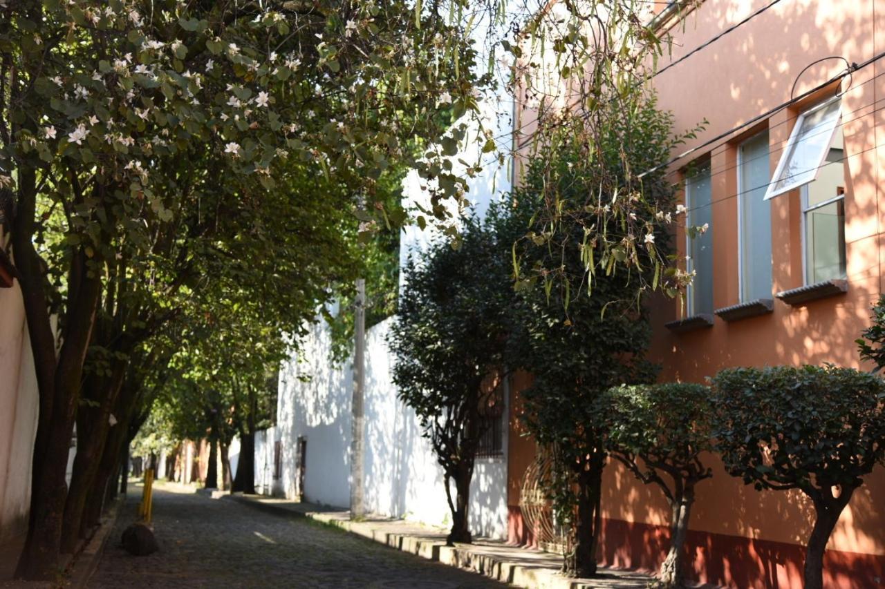 Casa Lulu Coyoacan Alvaro Obregon Ngoại thất bức ảnh