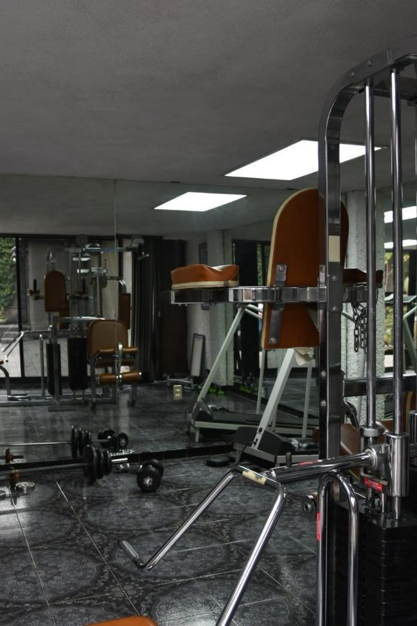 Casa Lulu Coyoacan Alvaro Obregon Ngoại thất bức ảnh