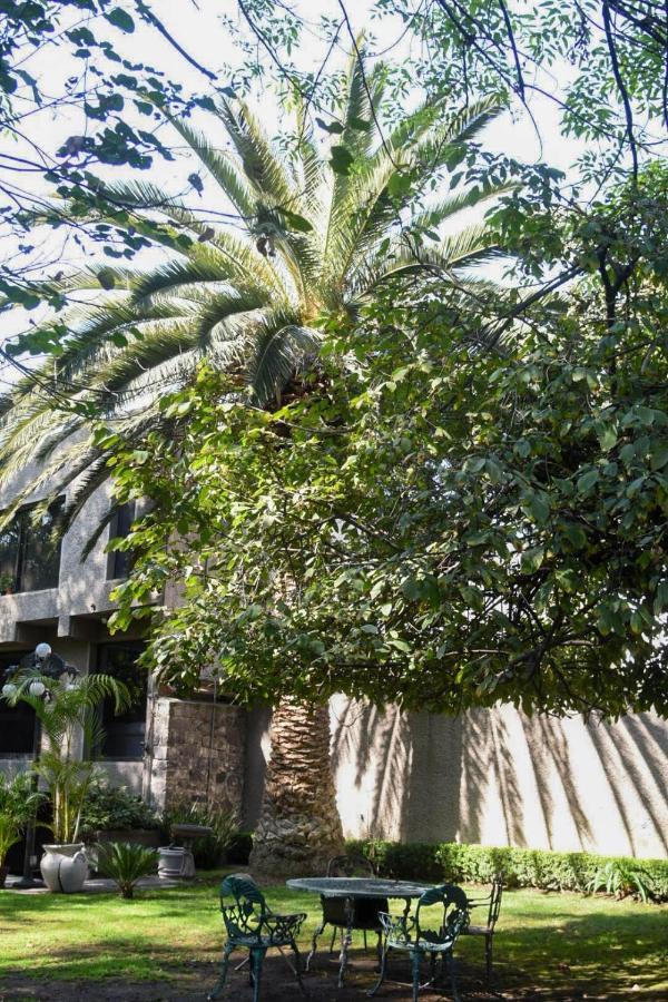 Casa Lulu Coyoacan Alvaro Obregon Ngoại thất bức ảnh