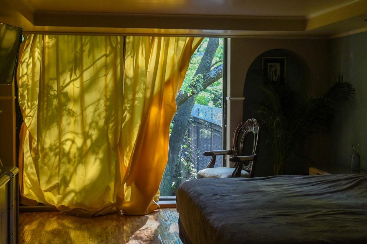 Casa Lulu Coyoacan Alvaro Obregon Ngoại thất bức ảnh