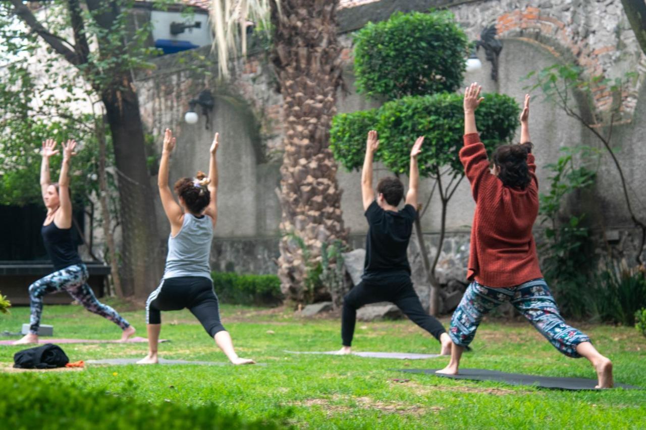 Casa Lulu Coyoacan Alvaro Obregon Ngoại thất bức ảnh
