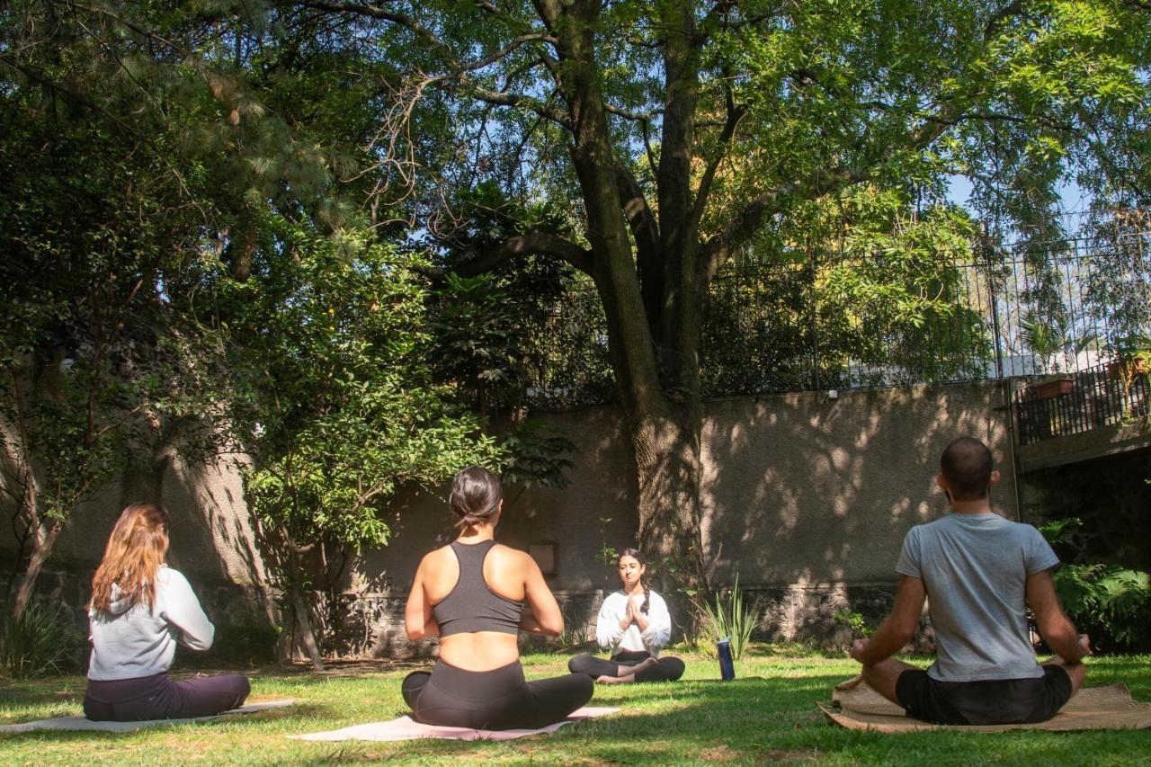 Casa Lulu Coyoacan Alvaro Obregon Ngoại thất bức ảnh